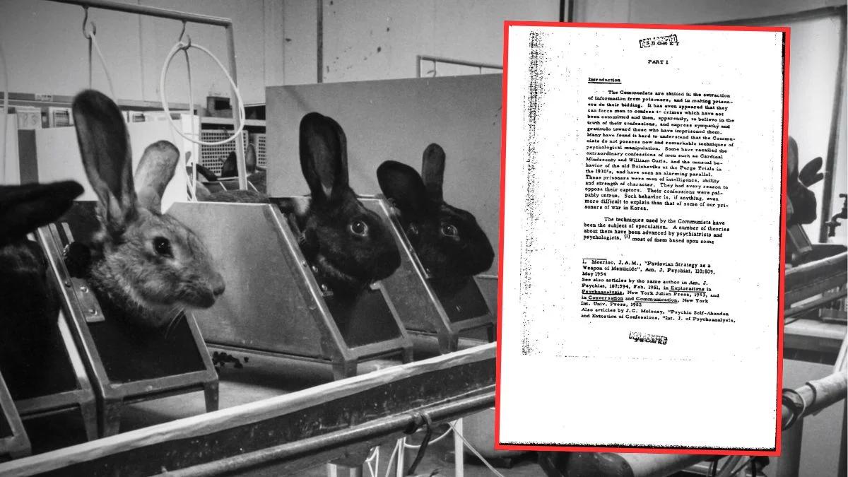 Armia zdalnie sterowanych zwierząt-zabójców. Tajny projekt CIA