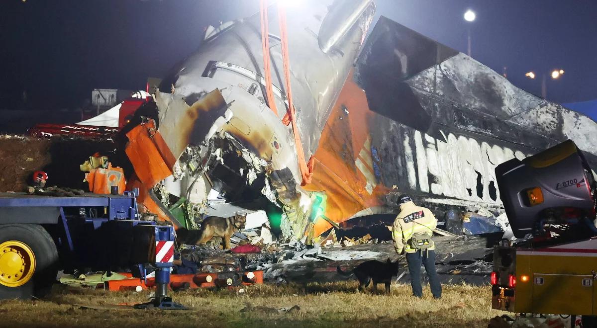 Raport ws. katastrofy Jeju Air w ogniu krytyki. "Za mało wyjaśnień"