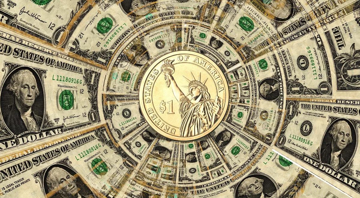 Dolar najdroższy w Polsce od 14 lat. Jest droższy od franka 