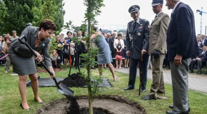 Drzewo Pamięci dla bohaterów Powstania Warszawskiego. "Byliśmy silni jak dąb"