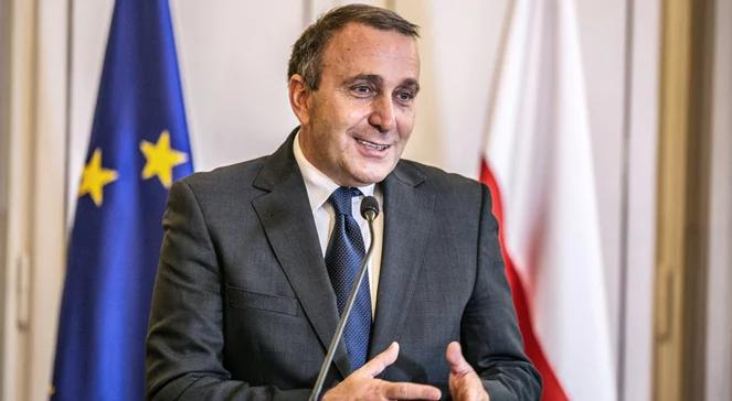 Polityka zagraniczna Grzegorza Schetyny