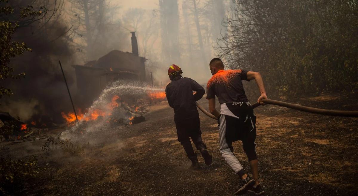 Dwie ofiary śmiertelne pożarów w Grecji. Kraj walczy z żywiołem