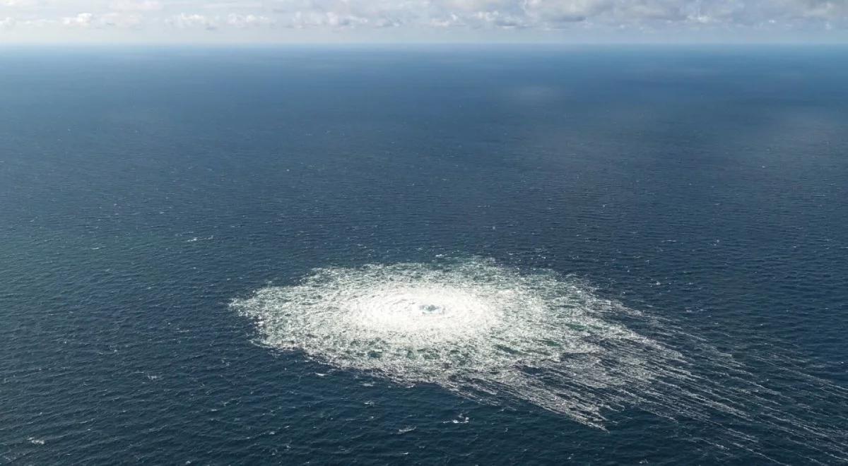 "Woda na młyn rosyjskiej propagandy". Czyżewski o wpisie Sikorskiego ws. Nord Stream