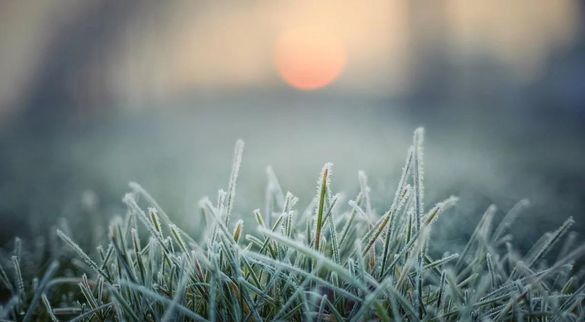 IMGW zapowiada mroźną noc. Miejscami nawet -8 st. C