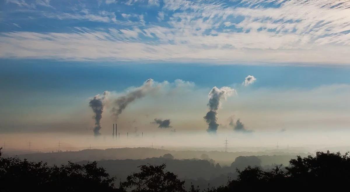 Smog nad Krakowem. Komunikacja za darmo