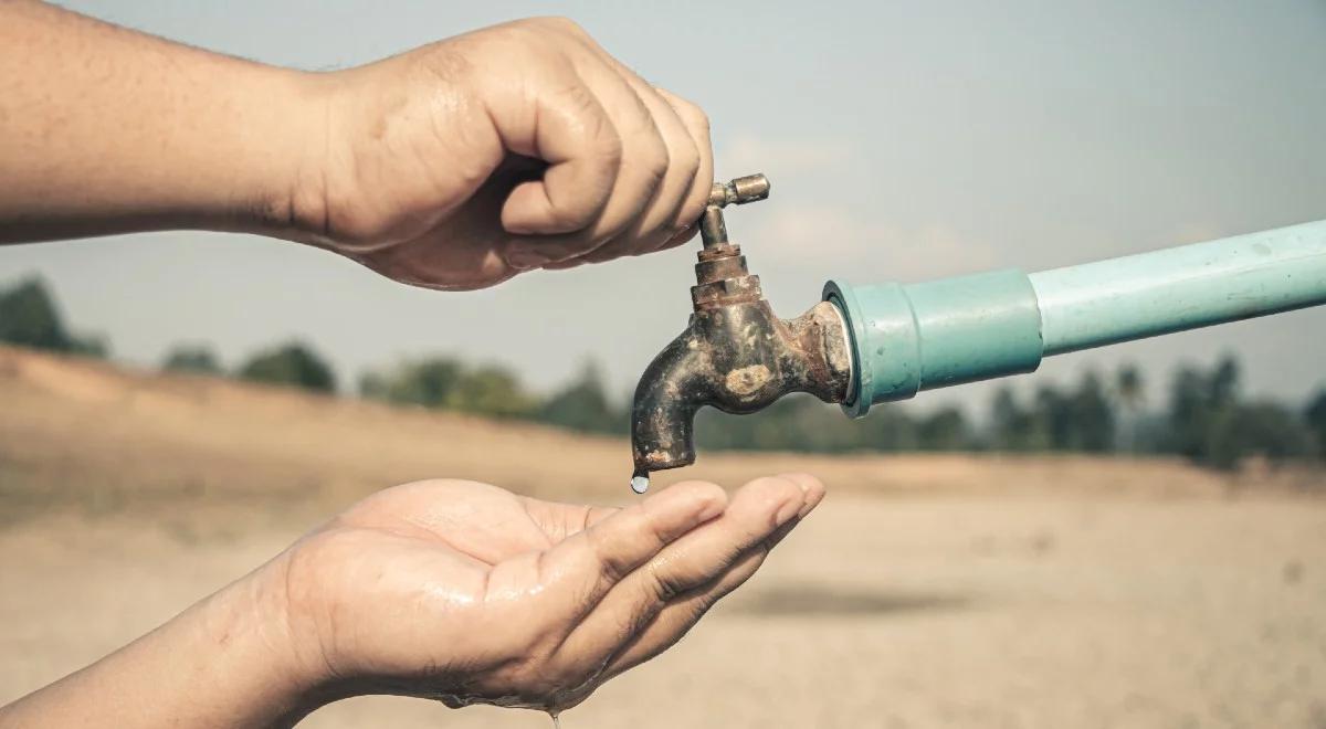 "Nie możemy wykluczyć suszy". Prezes Wód Polskich o sytuacji hydrologicznej