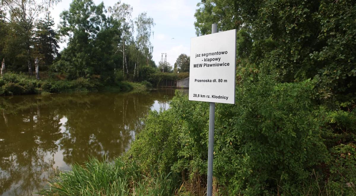 Jest zakaz korzystania z rzeki Kłodnicy. Chodzi o rozrost złotej algi