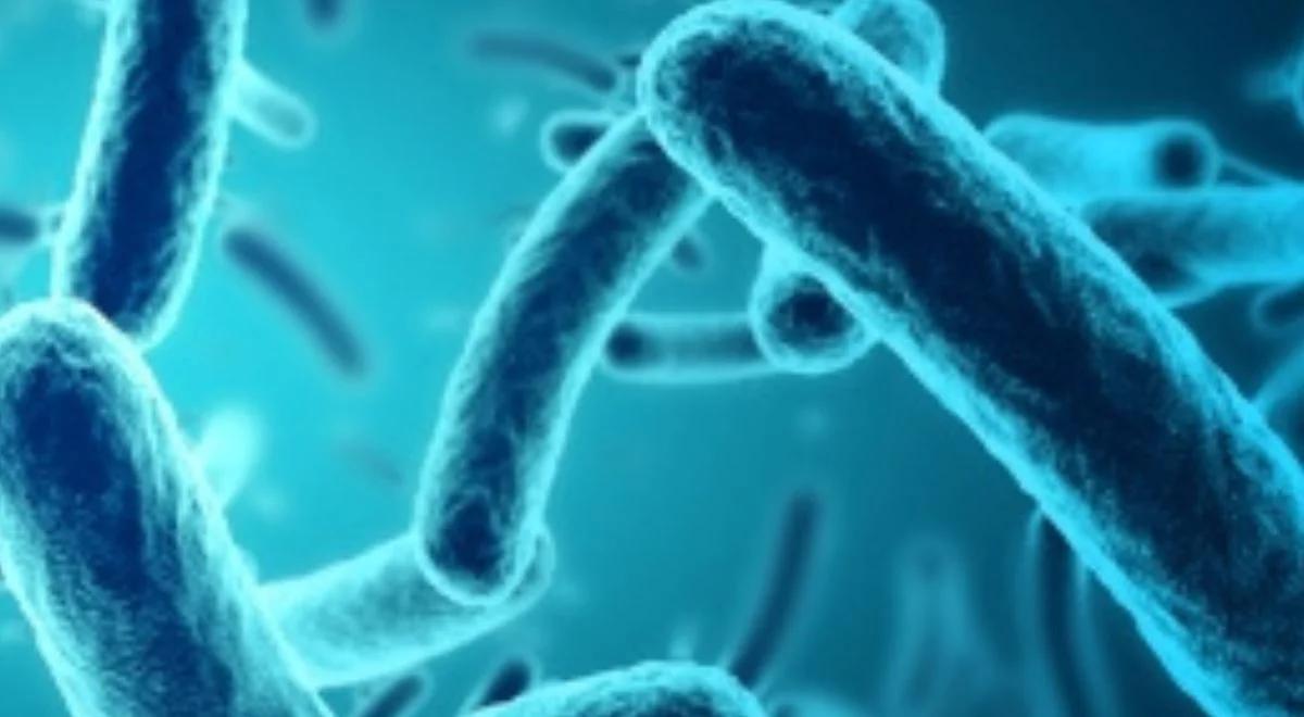 Legionella w Lubelskiem. Sanepid nadzoruje jakość wody i sytuację epidemiologiczną