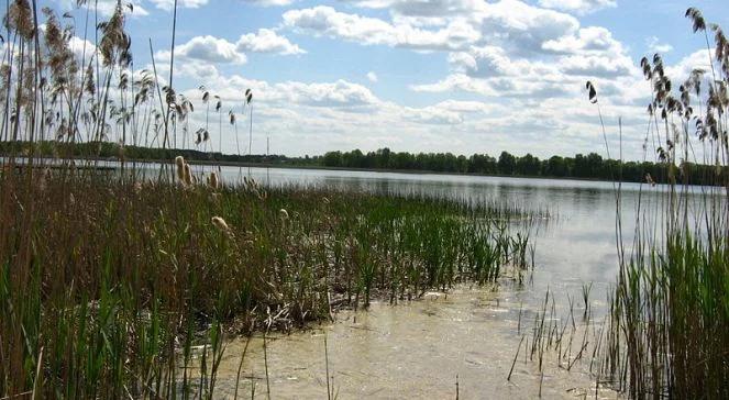 Jesteśmy dumni z pierogów, wódki, Mazur i Wawelu