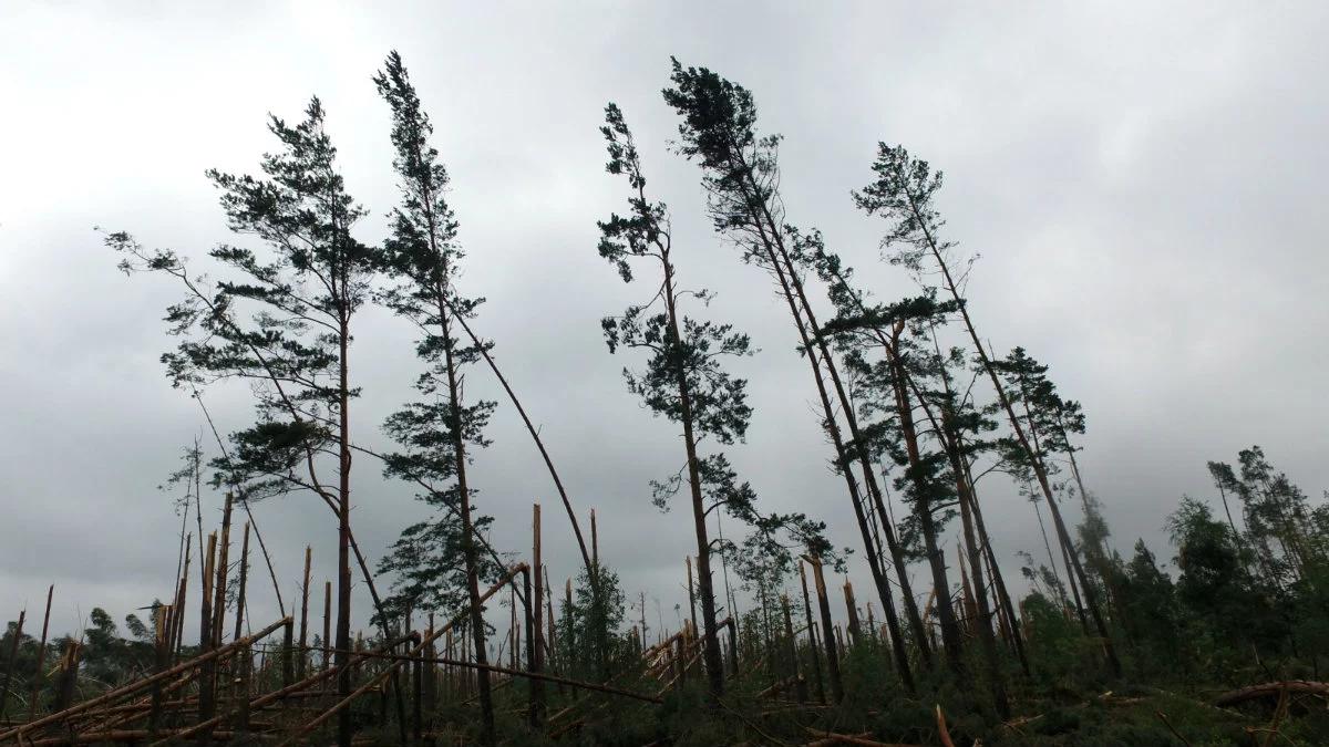 Tragedia w Suszku. Prokuratura Okręgowa przejęła śledztwo