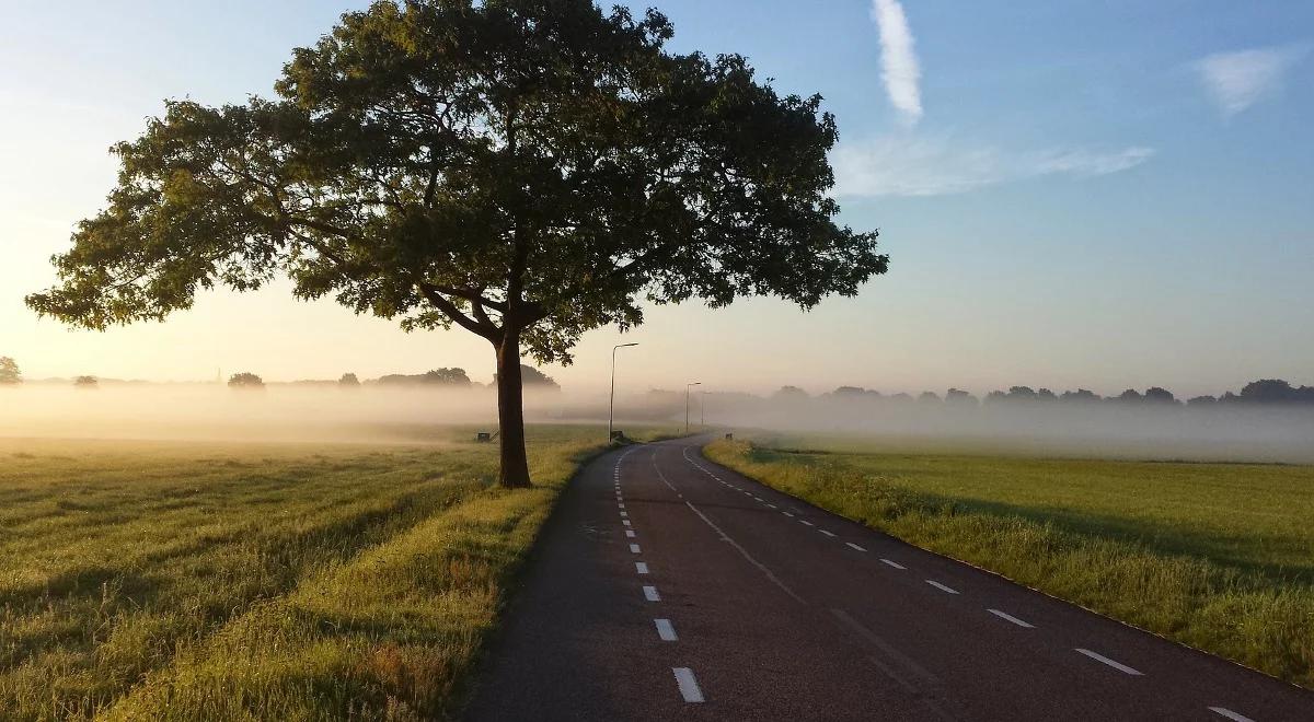 Przetarg na odcinek Via Carpatia Rzeszów-Babica zaplanowano w połowie 2019 r.