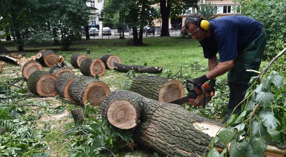 Usuwanie skutków nawałnic i liczenie strat