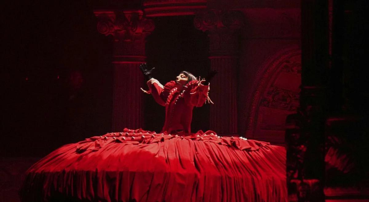 Planowali zamach na koncercie Lady Gagi. "Fake Monster"