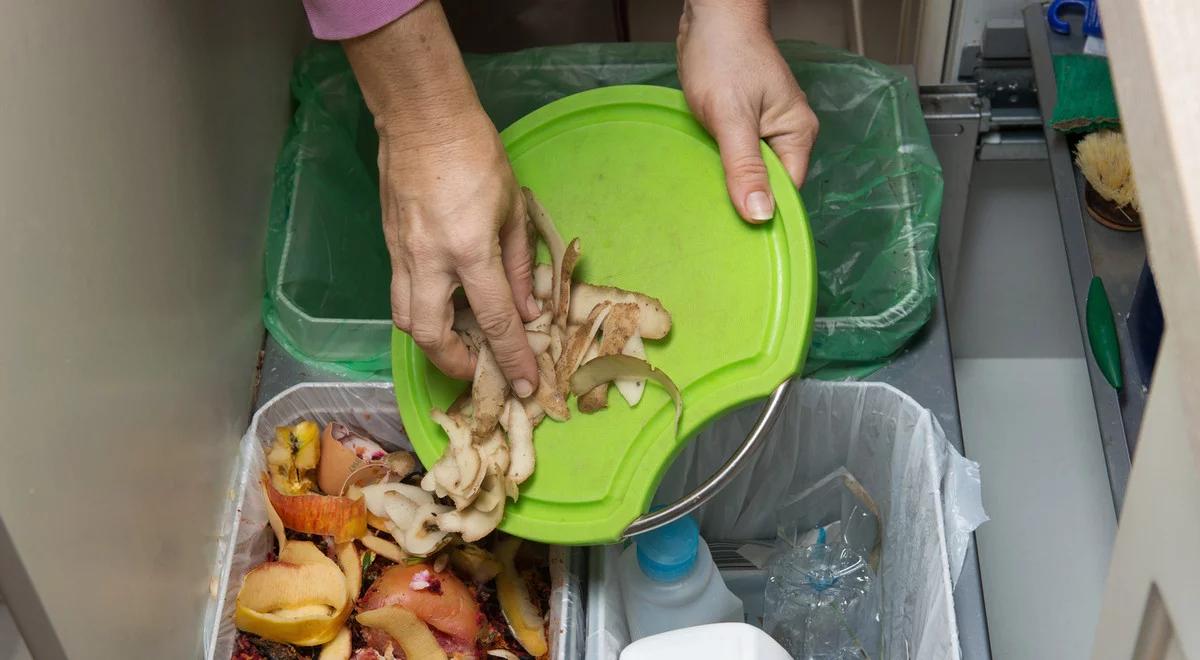 W Unii będzie większy recykling. Ekolodzy zadowoleni