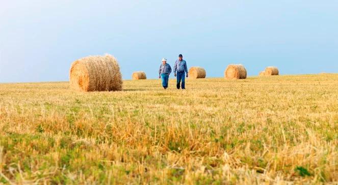 Z laptopem na pola, czyli e-kontrole rolników