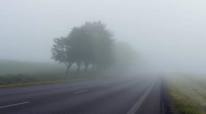 Gęste mgły w woj. warmińsko-mazurskim. Ostrzeżenie IMGW