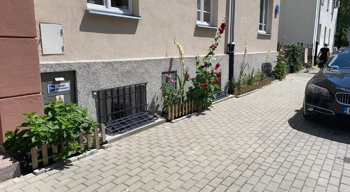Tysiąc złotych kary z kwiaty. Spór o rabatki przed kamienicą