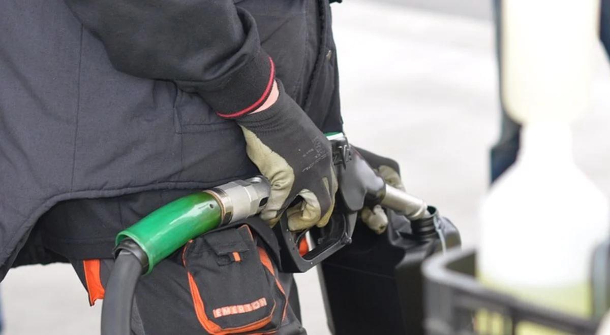 Ropa zdrożała bardziej niż ceny paliw na polskich stacjach