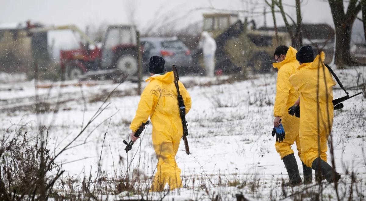 Pryszczyca przy granicy z Polską. Całodobowe kontrole na przejściach