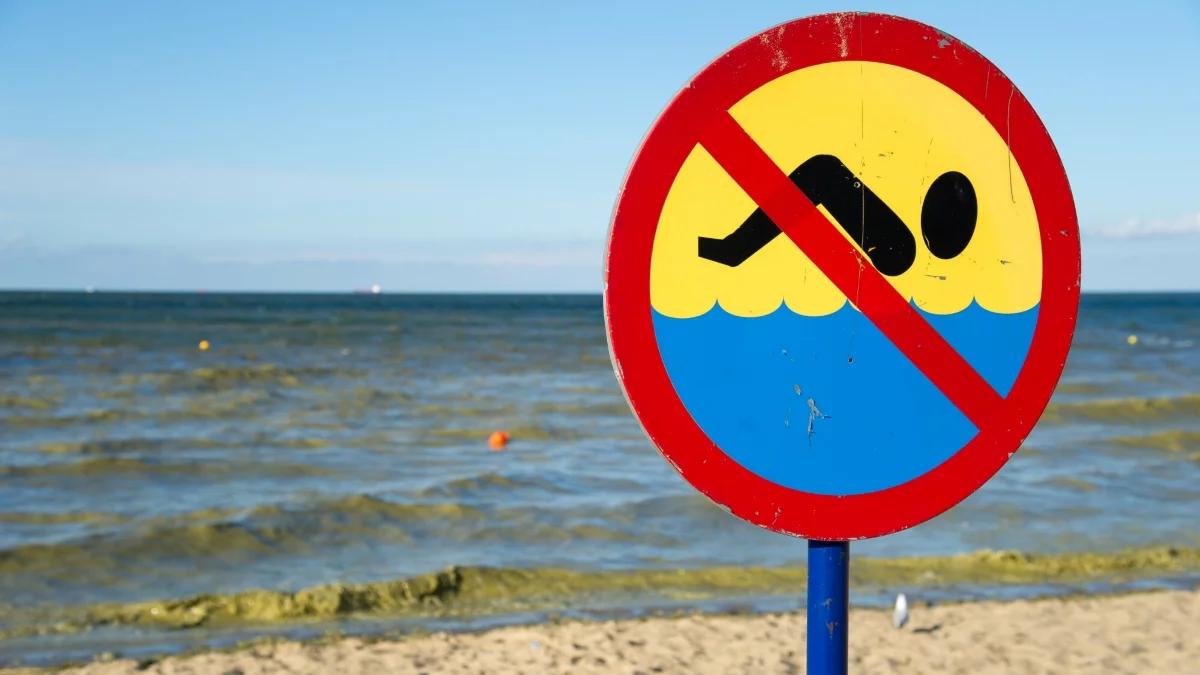 Sinice zakwitły w Bałtyku. GIS zamyka kolejne kąpieliska