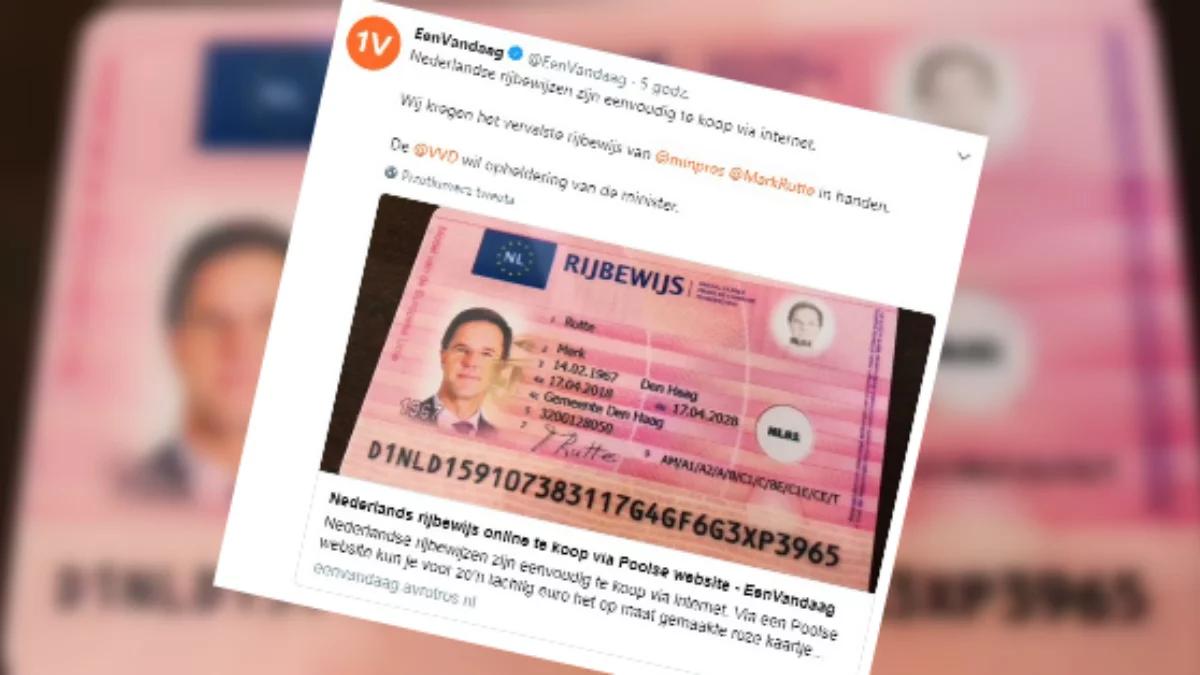 Prowokacja holenderskich dziennikarzy. Kupili prawo jazdy z nazwiskiem premiera na polskiej stronie internetowej
