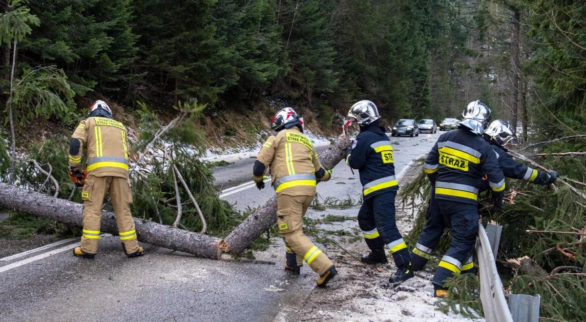 Zalane domy, powalone drzewa i zerwane dachy. Ponad 800 interwencji straży po burzach