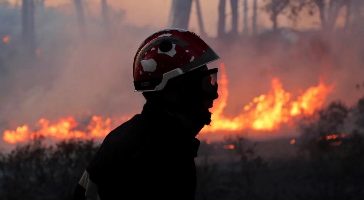 Kalifornia: pożar Caldor potroił swoje rozmiary. Tysiące ludzi ewakuowano