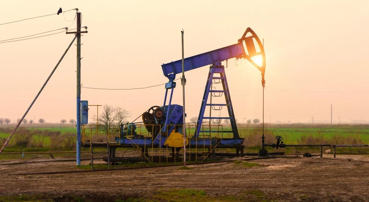 Cena ropy w USA wyższa o centa. Decyzja OPEC słabo działa na rynki paliw