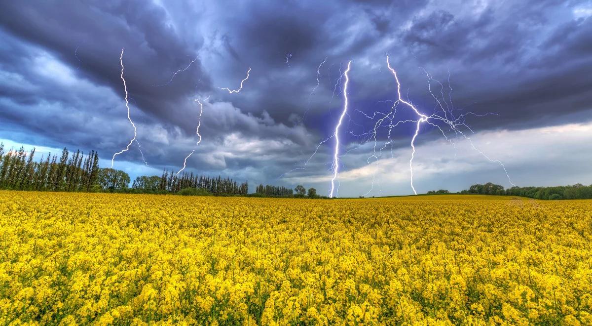 Synoptyk IMGW: na północy kraju burze, deszcz i silny wiatr