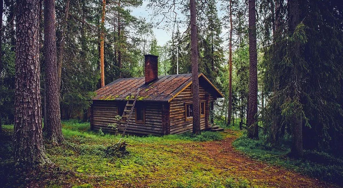 Prawo pierwokupu działek leśnych. Przydałaby się zmiana przepisów