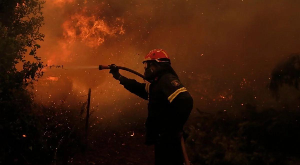 Trwa gaszenie pożarów na południu Europy. Premier Grecji przeprasza za zaniedbania