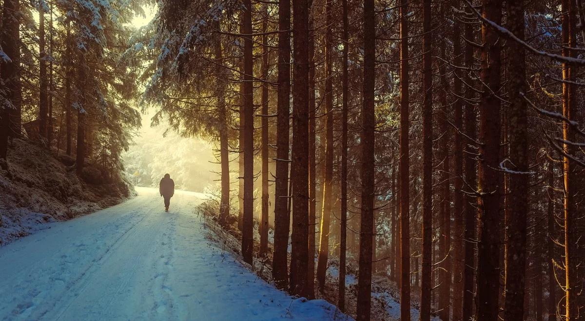 Śnieg, śnieg z deszczem, w górach możliwy wiatr. Uwaga na gołoledź