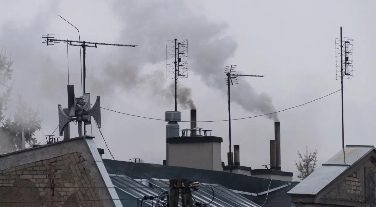 Nowe dane o smogu w Polsce. Nowa Ruda z najgorszym powietrzem