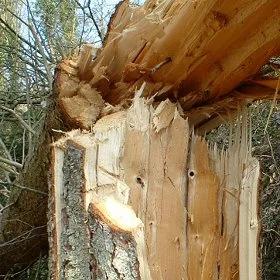 Silne burze nad Polską. Setki interwencji straży pożarnej. Tysiące osób bez prądu