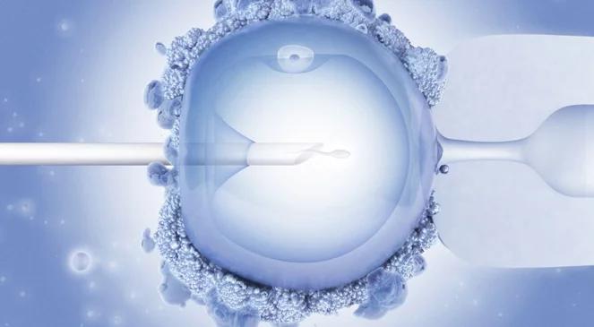 Ustawa o in vitro elementem kampanii wyborczej