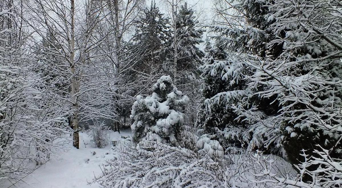 Uwaga na lawiny w Tatrach. W wielu miejscach obfite opady śniegu albo gołoledź