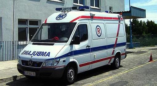 Zduńska Wola: nastolatka pogryziona przez bernardyna