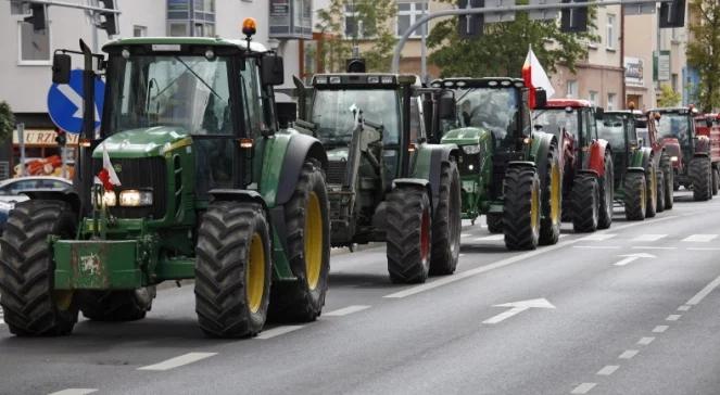 Protest rolników. Chcą większych odszkodowań za szkody wyrządzane przez dziki