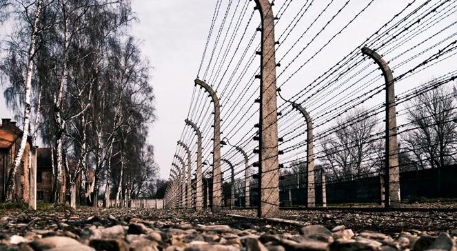 Obrona prawdy historycznej. "Powinniśmy mówić jednym głosem"