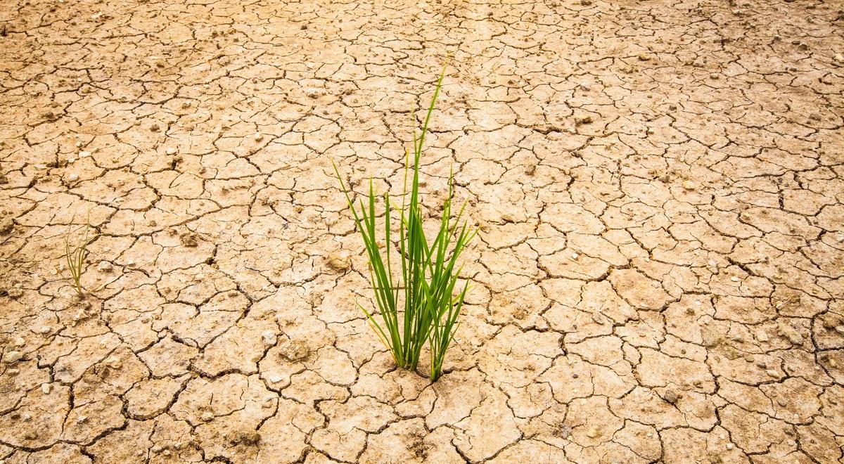 Zmiany klimatu to straty dla gospodarki. Utrata do 10 proc. PKB