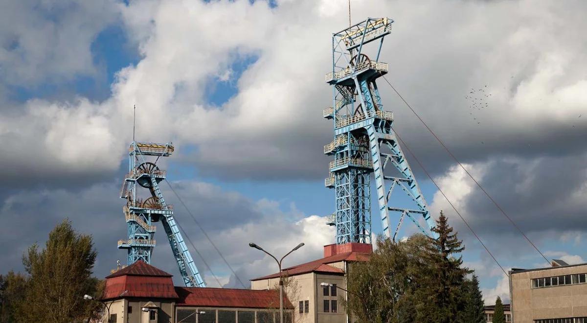 Prezes Kompanii Węglowej nie poda się do dymisji