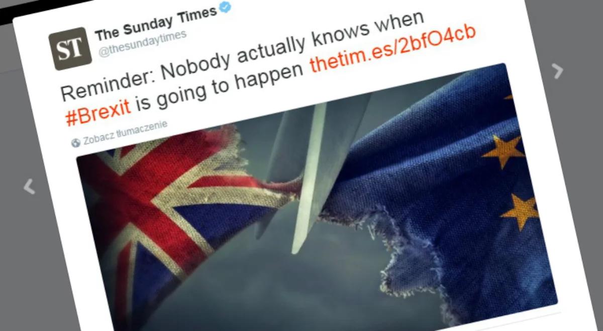 Zamieszanie z Brexitem trwa. W tym roku nie będzie procedury wyjścia Brytyjczyków z UE