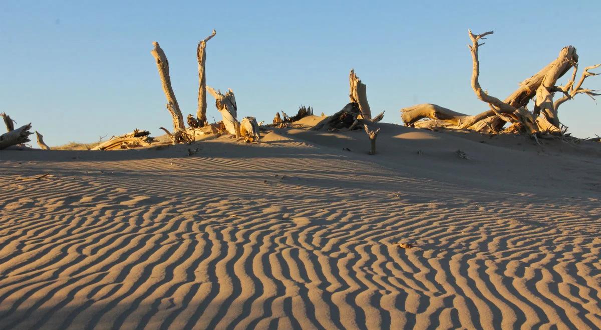 Południe Europy zmienia się w pustynię. Postępujące ocieplenie klimatu