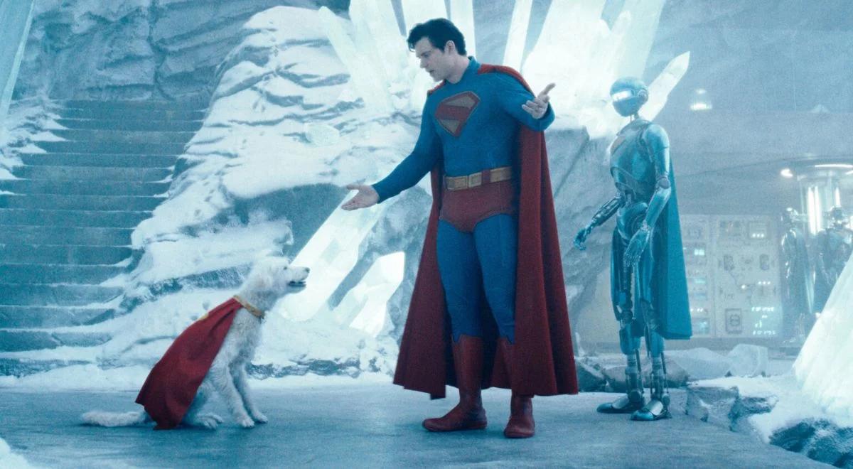 Efekt Krypto. Pies Supermana motorem napędowym do adopcji psów