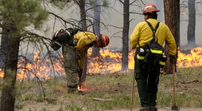 USA: pożary pustoszą Kolorado. 2 ofiary śmiertelne