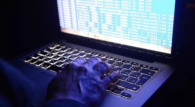 Jak Finlandia walczy z rosyjską dezinformacją