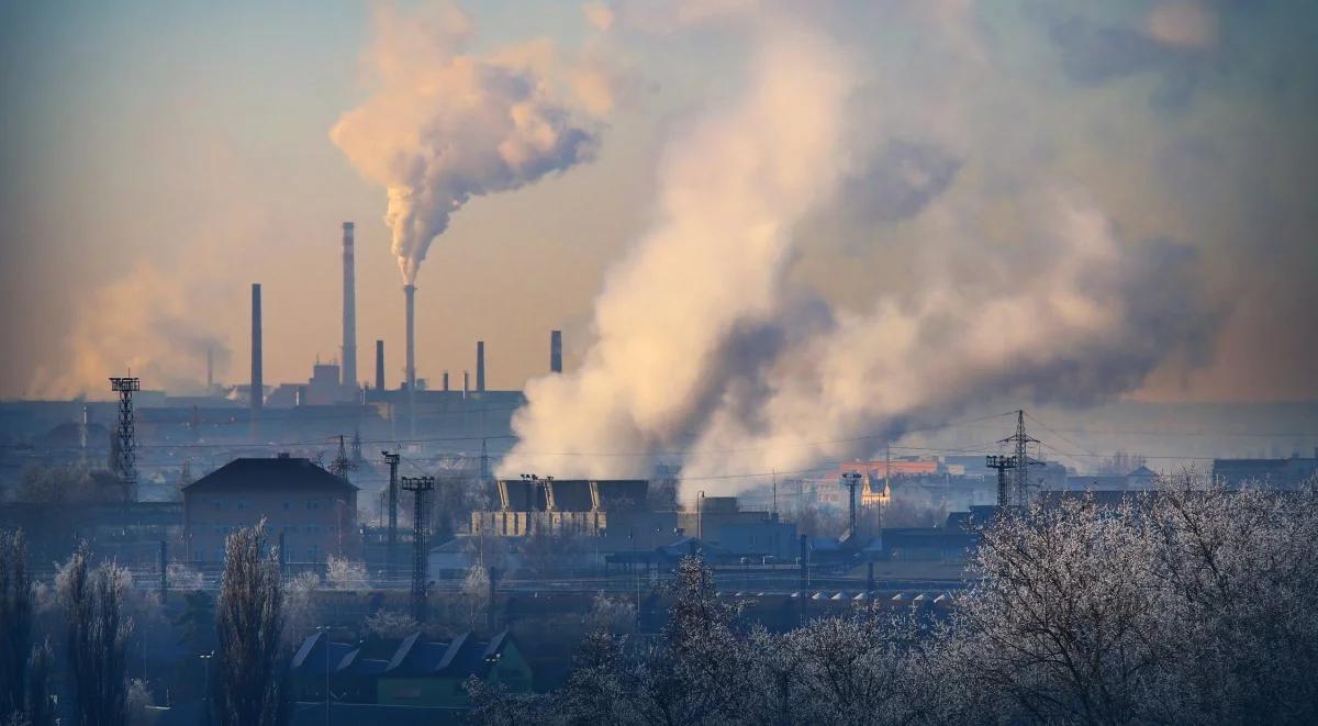 "Zielony miernik". Od przyszłego roku banki będą publikować nowy wskaźnik