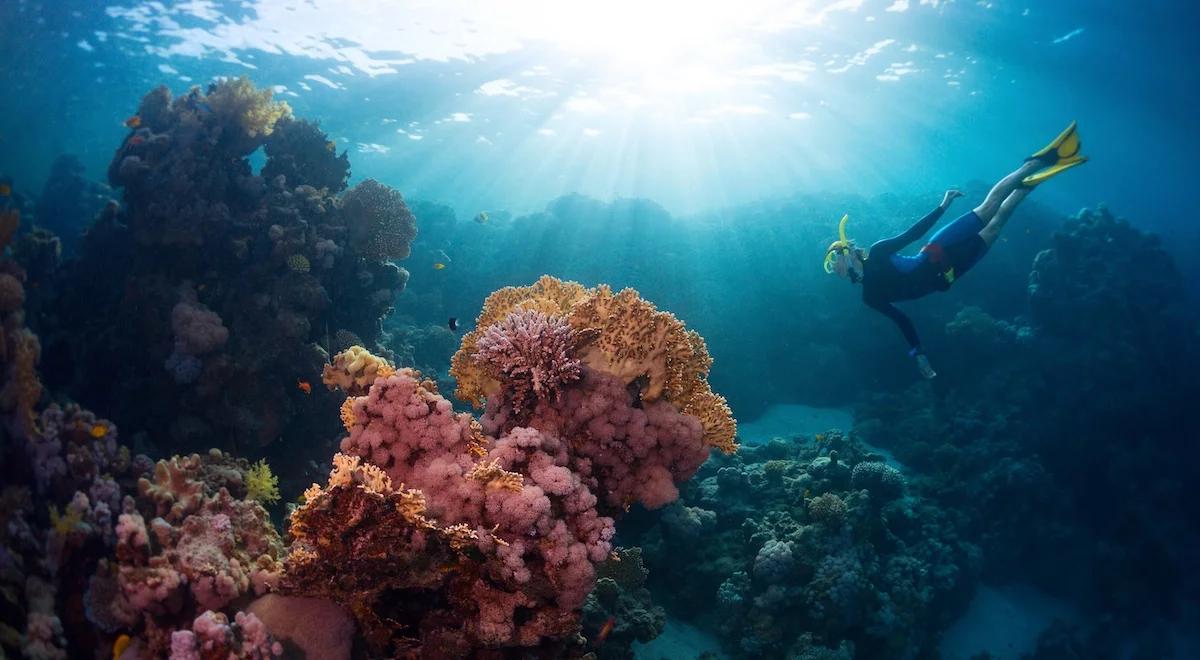 Traktat Oceaniczny wchodzi w życie. "Historyczne porozumienie"