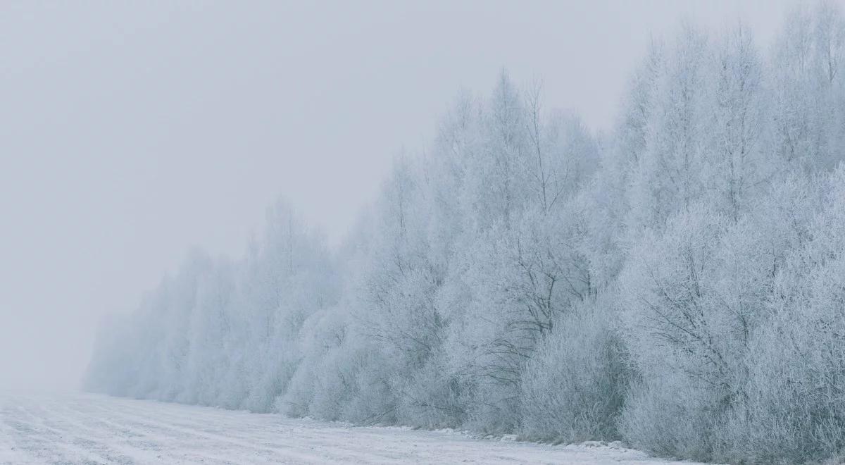 Na wschodzie śnieg i do 20 stopni poniżej zera. W tym tygodniu zima nie odpuści 