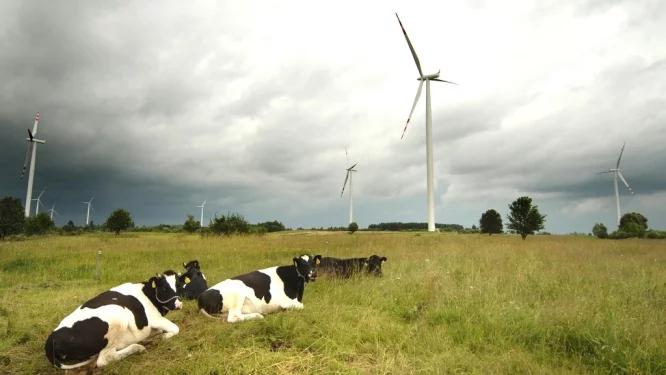 Zielona przyszłość polskiej energii